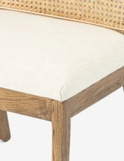 Jeni Dining Chair -Household Furnishing Store 100054 002 det 2 784a8cdc a6ed 422e 8eae e077a53b03c6