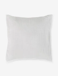 Darcy Sham 31 Darcy Sham -Household Furnishing Store 103 V250172 1 900x 970903c3 c99b 4702 87ef bab414d48bfb