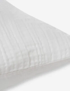 Darcy Sham 33 Darcy Sham -Household Furnishing Store 103 V250172 3 900x c2dc3a83 0488 4d19 b802 be787c8379f4