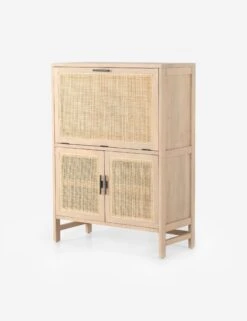 Philene Bar Cabinet 13 Philene Bar Cabinet -Household Furnishing Store 109084 002 PRM 1