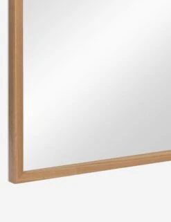 Paisley Floor Mirror -Household Furnishing Store 12 42139 6