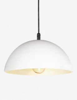 Peridot Outdoor Pendant Light By Regina Andrew -Household Furnishing Store 17 1003WT