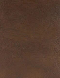 Gilbert Dining Chair -Household Furnishing Store 224509 001 DET 2