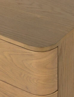 Cyrus Dresser -Household Furnishing Store 226604 002 DET 3