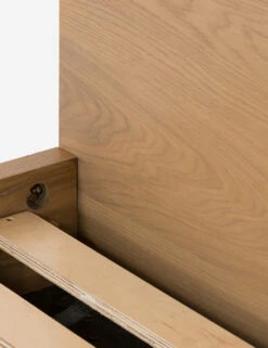 Cyrus Platform Bed -Household Furnishing Store 226971 003 DET 3