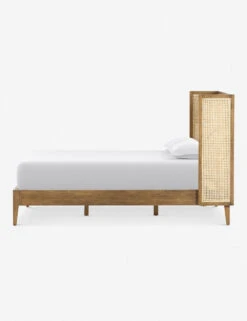Jeni Platform Bed -Household Furnishing Store 227834 005 SID 1