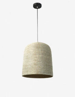 Analia Pendant Light -Household Furnishing Store 229315 002 PRM 1