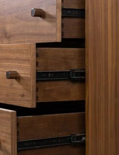 Cameron Dresser -Household Furnishing Store 234477 001 DET 6