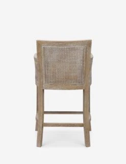 Quincey Counter Stool 10 Quincey Counter Stool -Household Furnishing Store 23522 a2 752e9c0e 6860 42ce 96f0 4fc2108a80ae