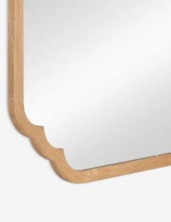 Dandridge Mirror -Household Furnishing Store 41915 5