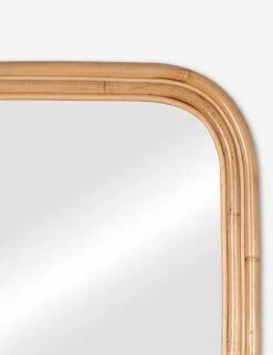 Reyna Mirror -Household Furnishing Store 41916 7