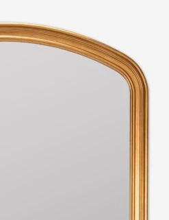Oralie Full Length Mirror -Household Furnishing Store 42200 5