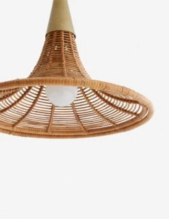 Nicola Pendant Light By Arteriors 7 Nicola Pendant Light By Arteriors -Household Furnishing Store 45203.d4