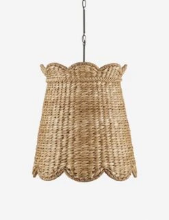 Nanina Pendant Light -Household Furnishing Store 9000 1116 1 Product