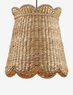 Nanina Pendant Light -Household Furnishing Store 9000 1116 2 Product