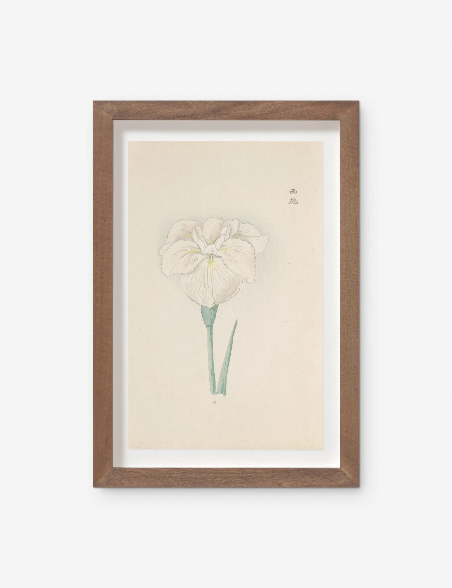 Vintage Japanese Iris No. 43 Wall Art By Miyoshi Manabu 1 Vintage Japanese Iris No. 43 Wall Art By Miyoshi Manabu