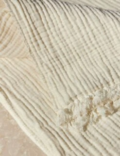 Alaia Sherpa Throw By House No. 23 -Household Furnishing Store AlaiaSherpa Coconut 13873 SITECROP