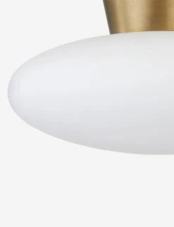 Joyce Flush Mount -Household Furnishing Store BRODYC5415 PBR 002