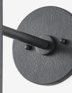 Cedar Sconce By Colin King X Troy Lighting -Household Furnishing Store CEDARB1726 FOR 002