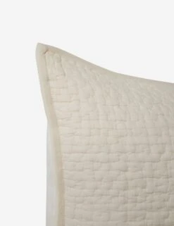 Clemence Sham -Household Furnishing Store ClemenceSham Bone Euro L0466346 105