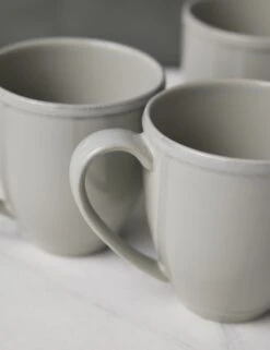 Friso Mugs (Set Of 2) By Costa Nova 10 Friso Mugs (Set Of 2) By Costa Nova -Household Furnishing Store CostaNovaFrisoMugs Gray Setof6 0223 dc38af70 cae8 442a b3f2 88edd03c6be8
