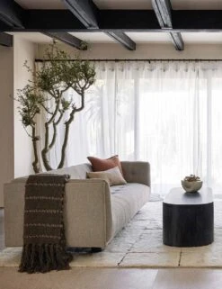 Pismo Throw -Household Furnishing Store CostaRugLivingRoom 4541 UPDATED SITECROP 2 817c3912 ee47 476c 8376 5f671590e7a2