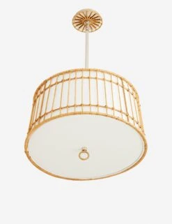Sea Island Pendant Light By Arteriors 7 Sea Island Pendant Light By Arteriors -Household Furnishing Store DW49001.d4