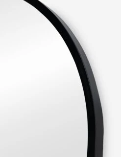 Idris Oval Mirror -Household Furnishing Store IdrisMirror Black Oval A0656680 041 Product