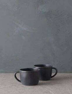 Livia Mug (Set Of 2) By Costa Nova -Household Furnishing Store LiviaMug Setof2 byCasafina Black L0467327 2026