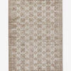 Modesta Rug