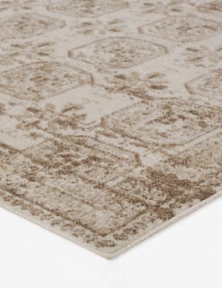 Modesta Rug 6 Modesta Rug -Household Furnishing Store NDN05 1 5e9cdf3c a18b 4995 9255 f25b66d629f5