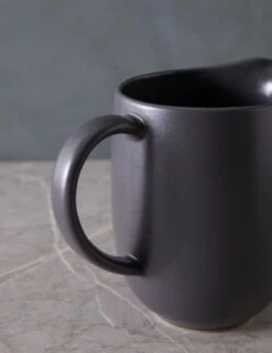 Pacifica Pitcher By Casafina -Household Furnishing Store PacificaPitcherbyCasafina SeedGray L04672641637