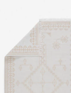 Govea Indoor / Outdoor Rug -Household Furnishing Store RVR01 2