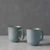Nature Mugs (Set Of 2) By Thomas For Rosenthal