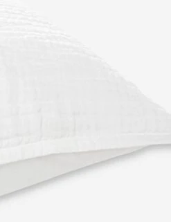 Darcy Sham 30 Darcy Sham -Household Furnishing Store V250174 3