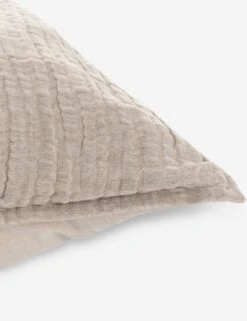 Darcy Sham 25 Darcy Sham -Household Furnishing Store V250186 3