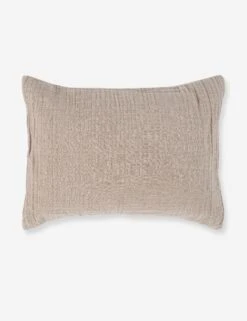 Darcy Sham 20 Darcy Sham -Household Furnishing Store V250188 1