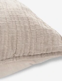 Darcy Sham 22 Darcy Sham -Household Furnishing Store V250188 3