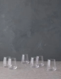 Vine Tumblers (Set Of 6) By Costa Nova