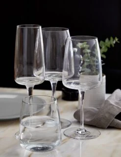 Vine Wine Glasses (Set Of 6) By Costa Nova -Household Furnishing Store costa nova vine lifestyle image 5 Product