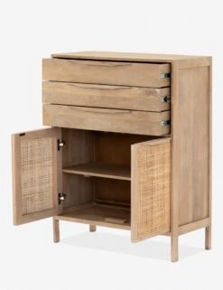 Hannah Dresser 22 Hannah Dresser -Household Furnishing Store iprs 032 opn 1