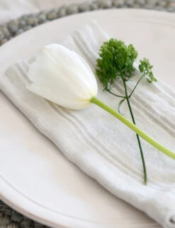 Mendocino Napkins (Set Of 4) By Pom Pom At Home -Household Furnishing Store mendocino lifestyle copy