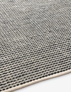 Prim Indoor / Outdoor Rug -Household Furnishing Store rbc2301 texture